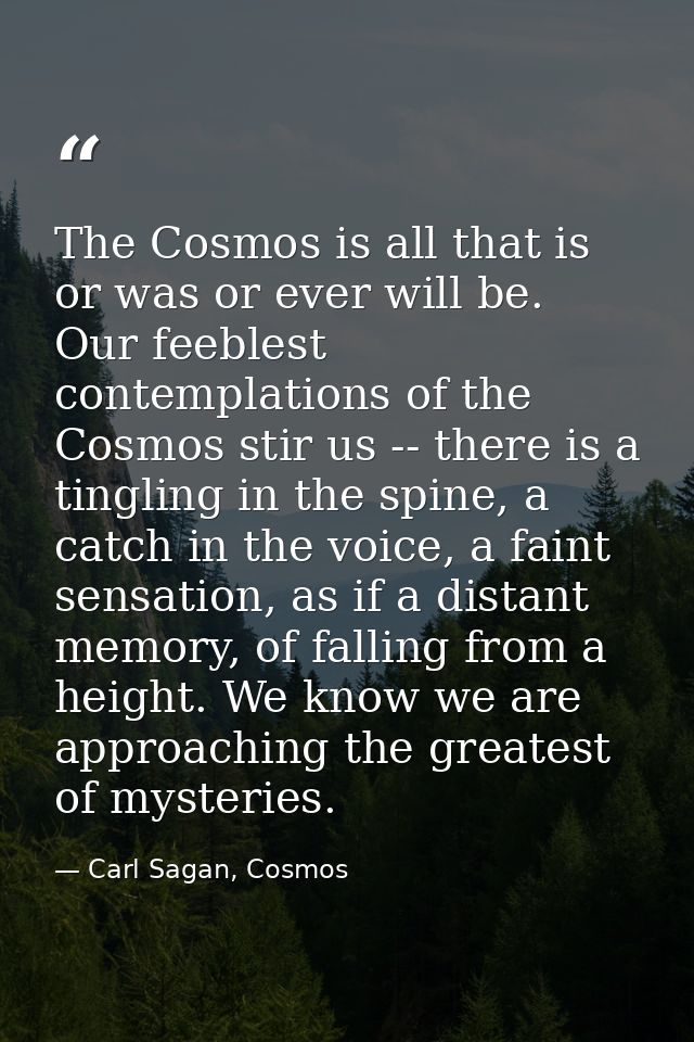 The Cosmos is all that is or was or ever will be. Our feeblest contemplations of the Cosmos stir us -- there is a tingli — Carl Sagan, Cosmos