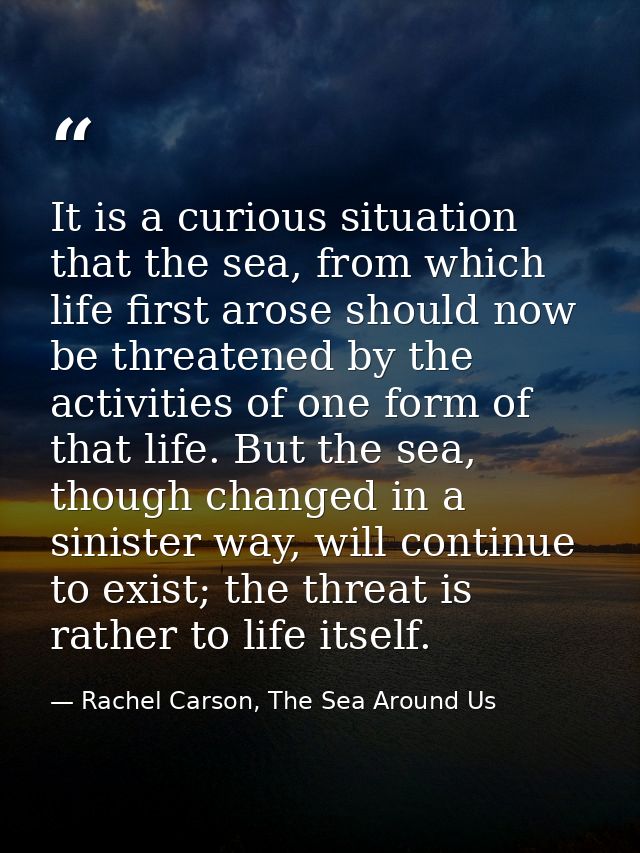 It is a curious situation that the sea, from which life first arose should now be threatened by the activities of one fo — Rachel Carson, The Sea Around Us