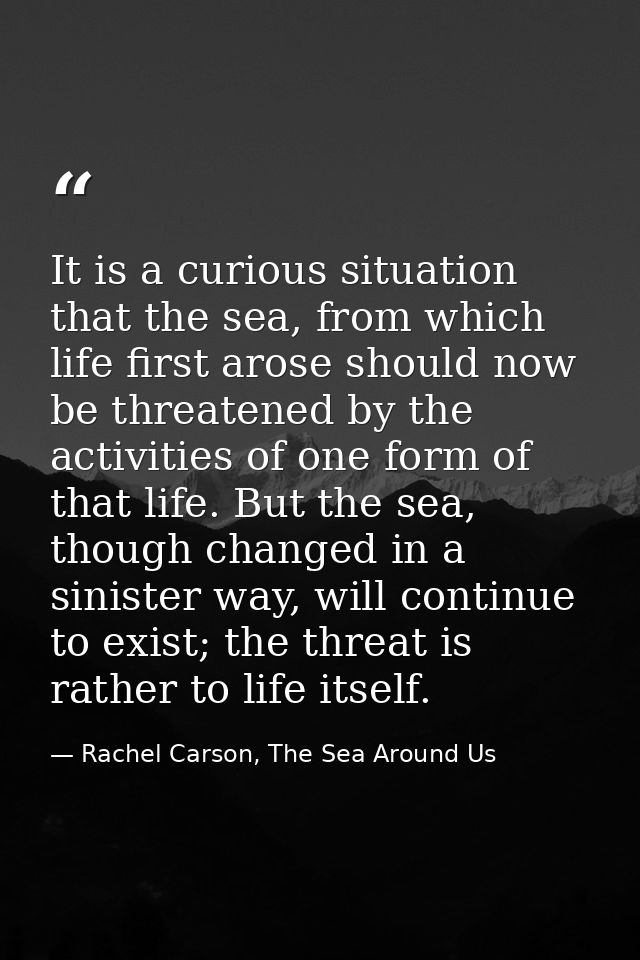 It is a curious situation that the sea, from which life first arose should now be threatened by the activities of one fo — Rachel Carson, The Sea Around Us