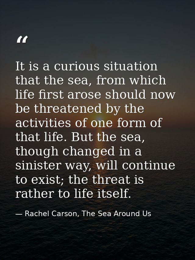 It is a curious situation that the sea, from which life first arose should now be threatened by the activities of one fo — Rachel Carson, The Sea Around Us