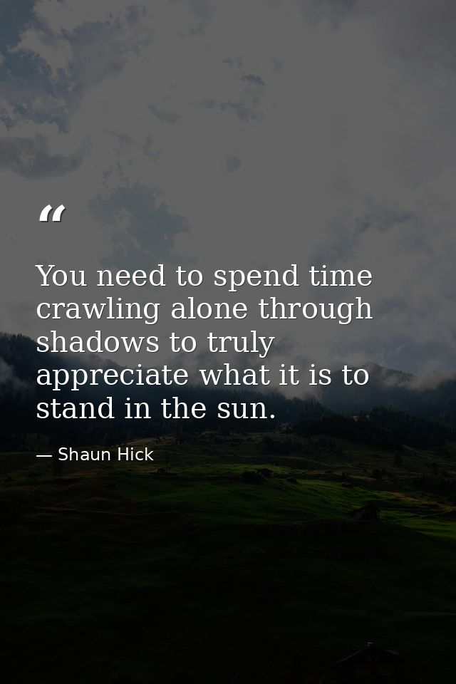You need to spend time crawling alone through shadows to truly appreciate what it is to stand in the sun. — Shaun Hick