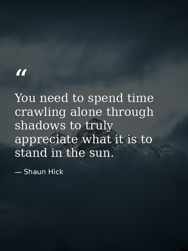 You need to spend time crawling alone through shadows to truly appreciate what it is to stand in the sun. — Shaun Hick