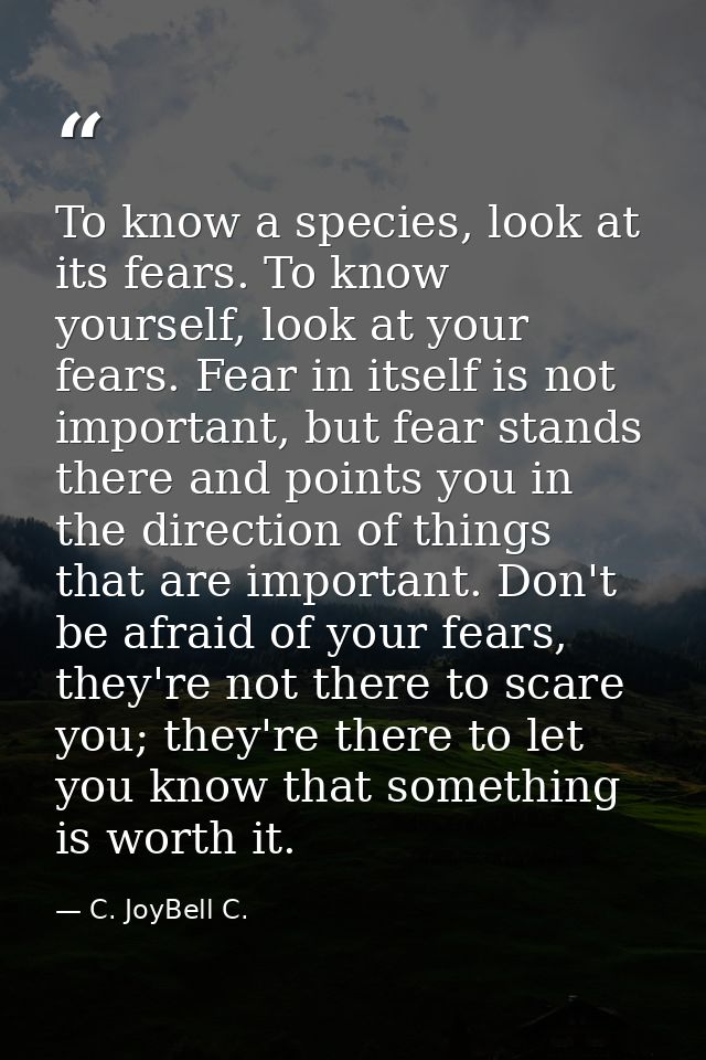 To know a species, look at its fears. To know yourself, look at your fears. Fear in itself is not important, but fear st — C. JoyBell C.
