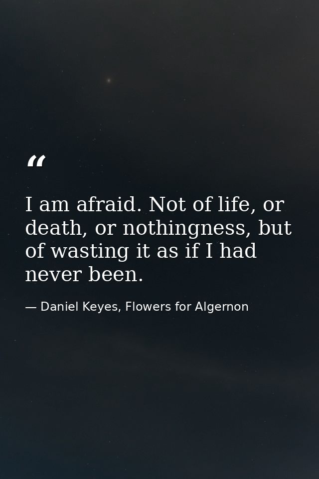 I am afraid. Not of life, or death, or nothingness, but of wasting it as if I had never been. — Daniel Keyes, Flowers for Algernon