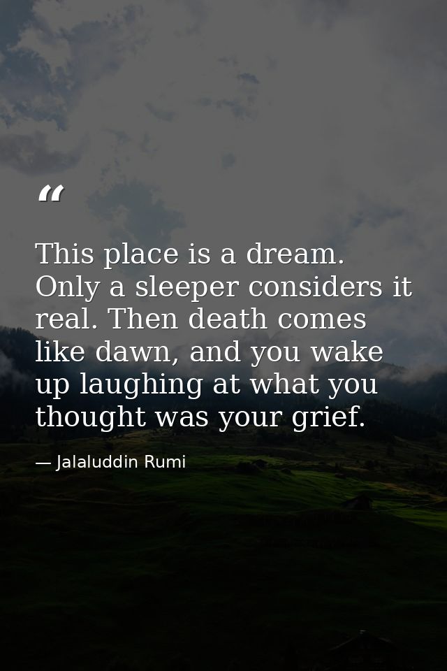 This place is a dream. Only a sleeper considers it real. Then death comes like dawn, and you wake up laughing at what yo — Jalaluddin Rumi