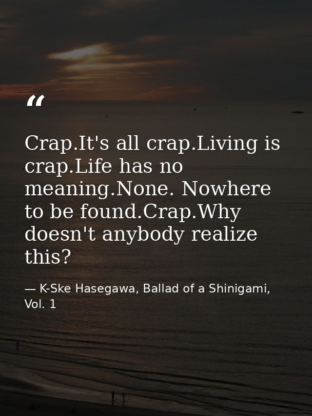Crap.It's all crap.Living is crap.Life has no meaning.None. Nowhere to be found.Crap.Why doesn't anybody realize this? — K-Ske Hasegawa, Ballad of a Shinigami, Vol. 1