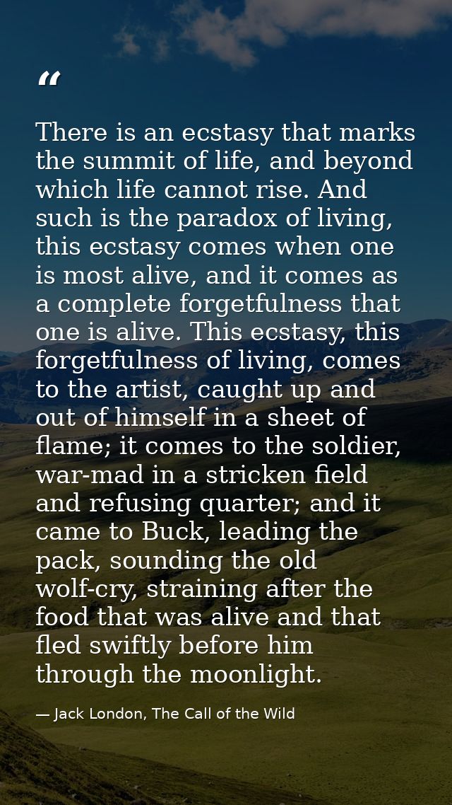 There is an ecstasy that marks the summit of life, and beyond which life cannot rise. And such is the paradox of living, — Jack London, The Call of the Wild