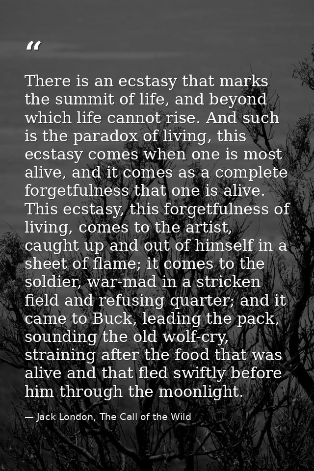 There is an ecstasy that marks the summit of life, and beyond which life cannot rise. And such is the paradox of living, — Jack London, The Call of the Wild