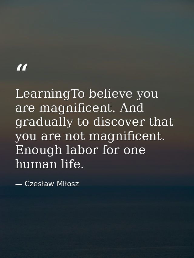 LearningTo believe you are magnificent. And gradually to discover that you are not magnificent. Enough labor for one hum — Czesław Miłosz