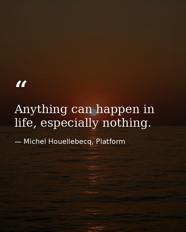 Anything can happen in life, especially nothing. — Michel Houellebecq, Platform