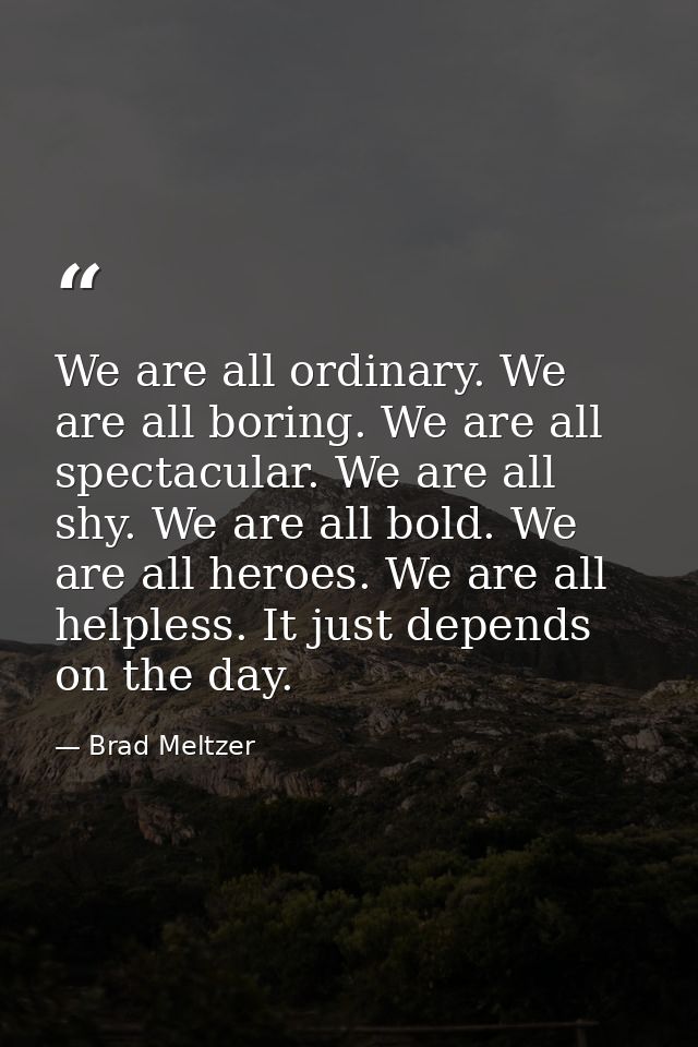 We are all ordinary. We are all boring. We are all spectacular. We are all shy. We are all bold. We are all heroes. We a — Brad Meltzer