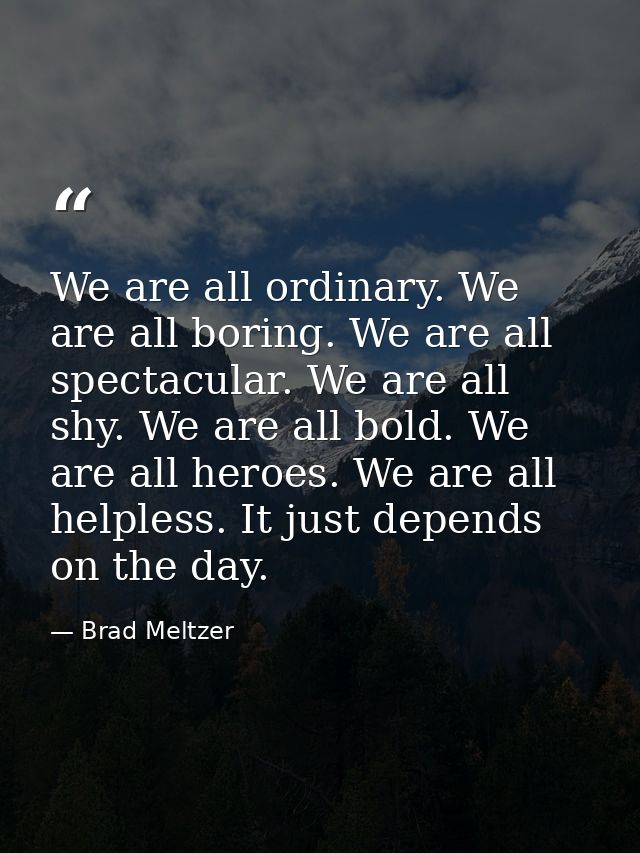 We are all ordinary. We are all boring. We are all spectacular. We are all shy. We are all bold. We are all heroes. We a — Brad Meltzer