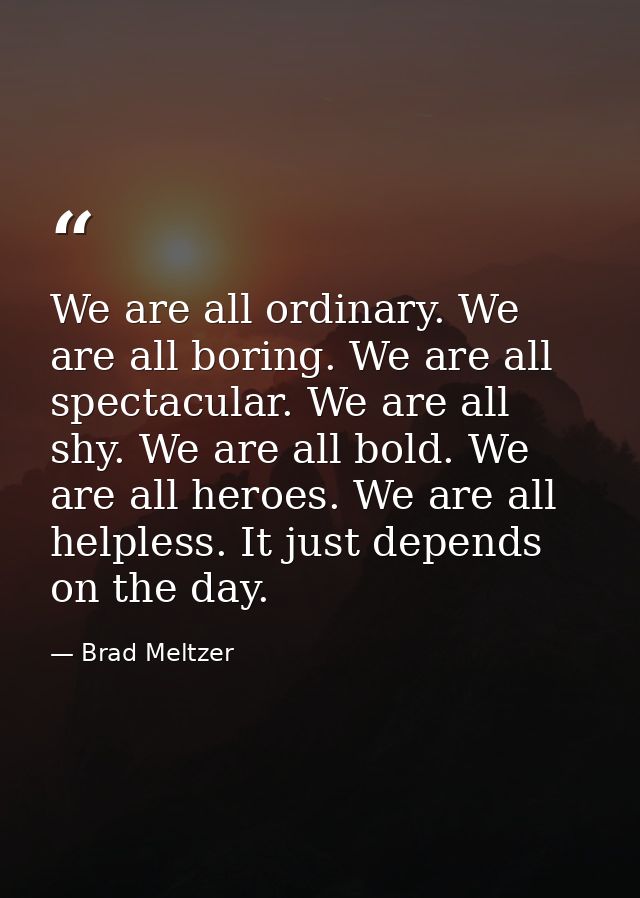 We are all ordinary. We are all boring. We are all spectacular. We are all shy. We are all bold. We are all heroes. We a — Brad Meltzer