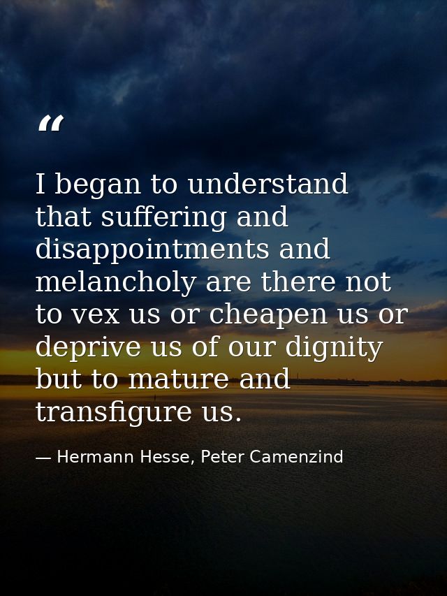 I began to understand that suffering and disappointments and melancholy are there not to vex us or cheapen us or deprive — Hermann Hesse, Peter Camenzind