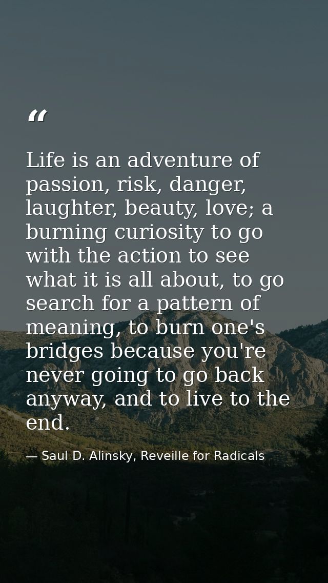 Life is an adventure of passion, risk, danger, laughter, beauty, love; a burning curiosity to go with the action to see  — Saul D. Alinsky, Reveille for Radicals