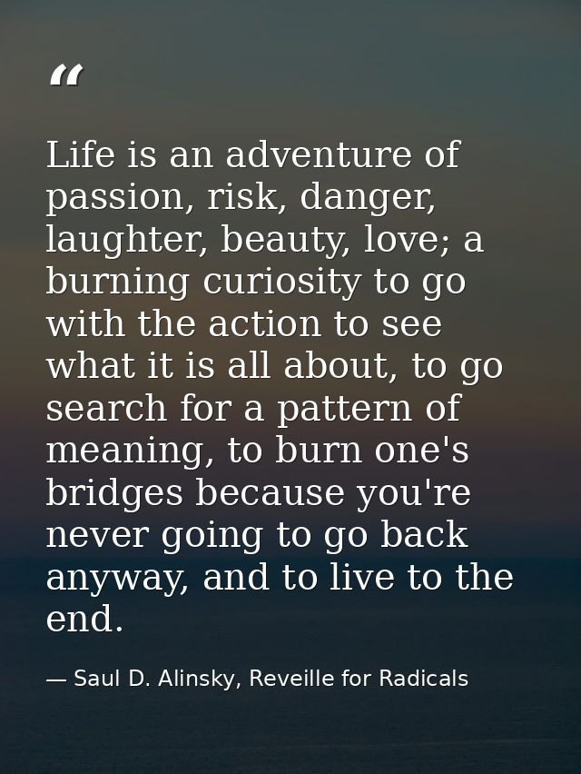 Life is an adventure of passion, risk, danger, laughter, beauty, love; a burning curiosity to go with the action to see  — Saul D. Alinsky, Reveille for Radicals
