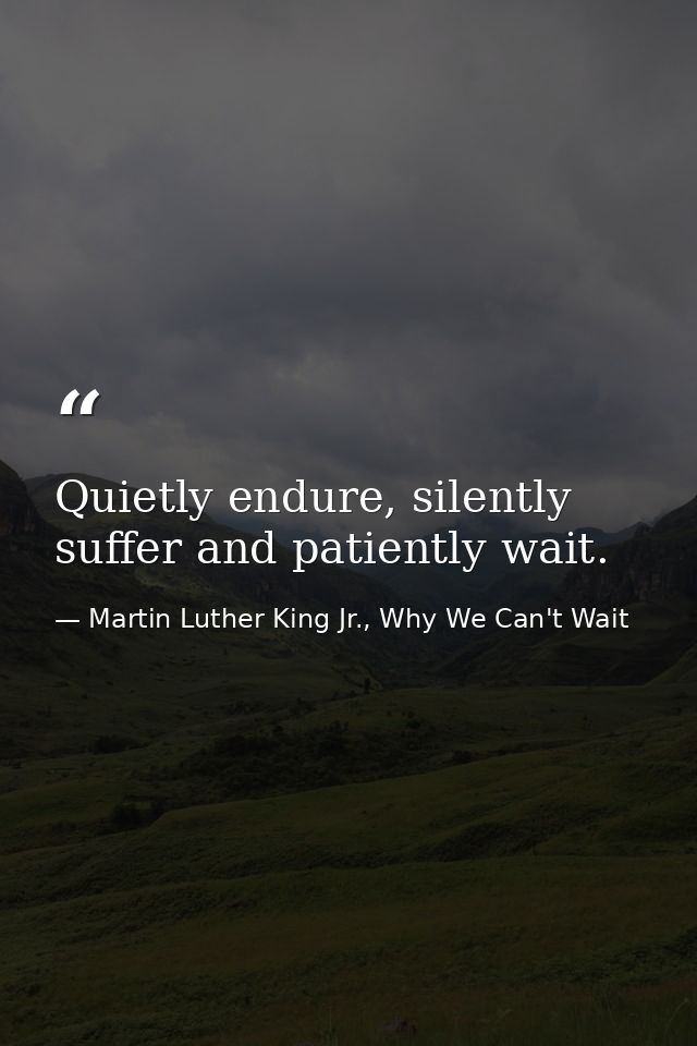 Quietly endure, silently suffer and patiently wait. — Martin Luther King Jr., Why We Can't Wait