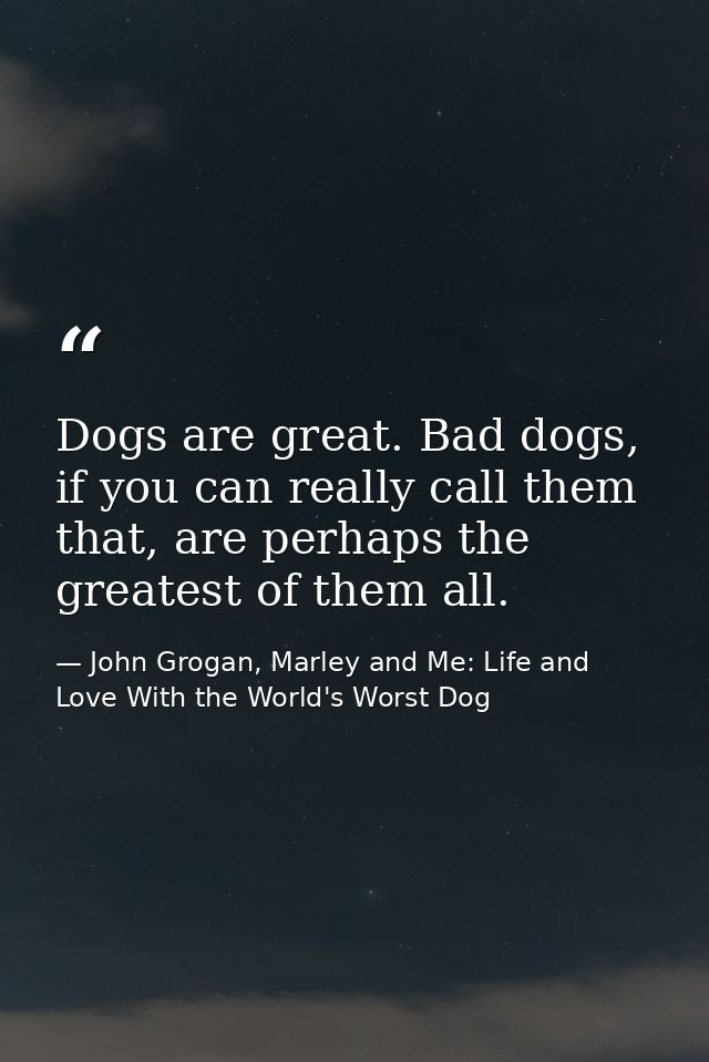 Dogs are great. Bad dogs, if you can really call them that, are perhaps the greatest of them all. — John Grogan, Marley and Me: Life and Love With the World's Worst Dog