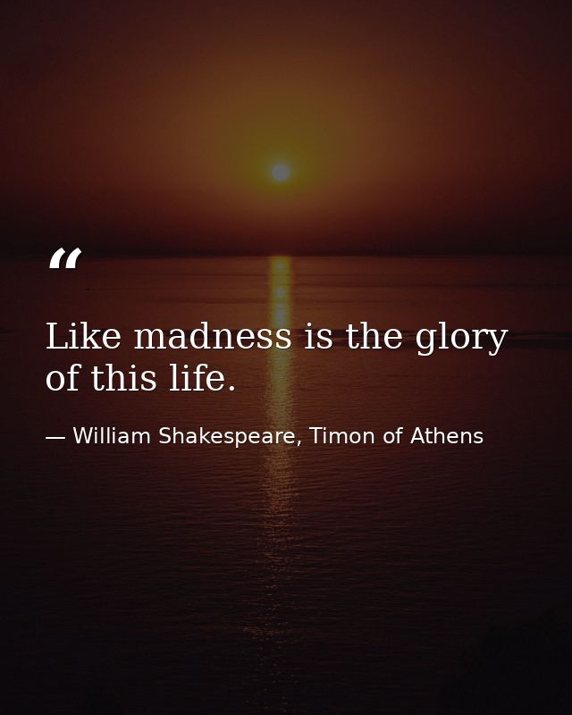 Like madness is the glory of this life. — William Shakespeare, Timon of Athens