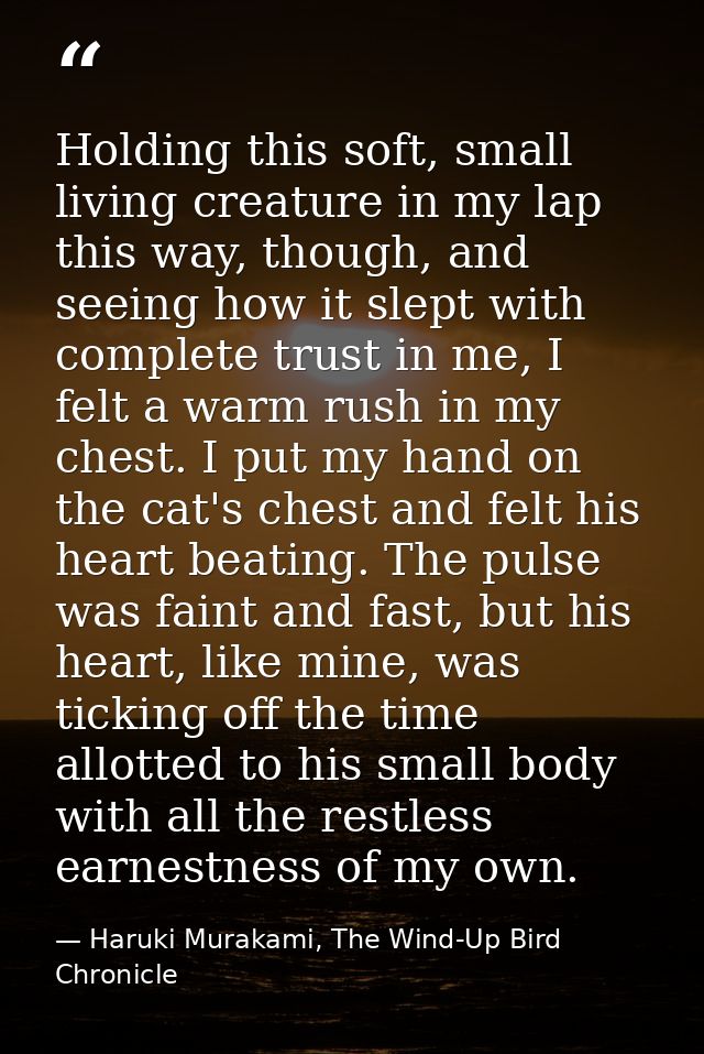 Holding this soft, small living creature in my lap this way, though, and seeing how it slept with complete trust in me,  — Haruki Murakami, The Wind-Up Bird Chronicle
