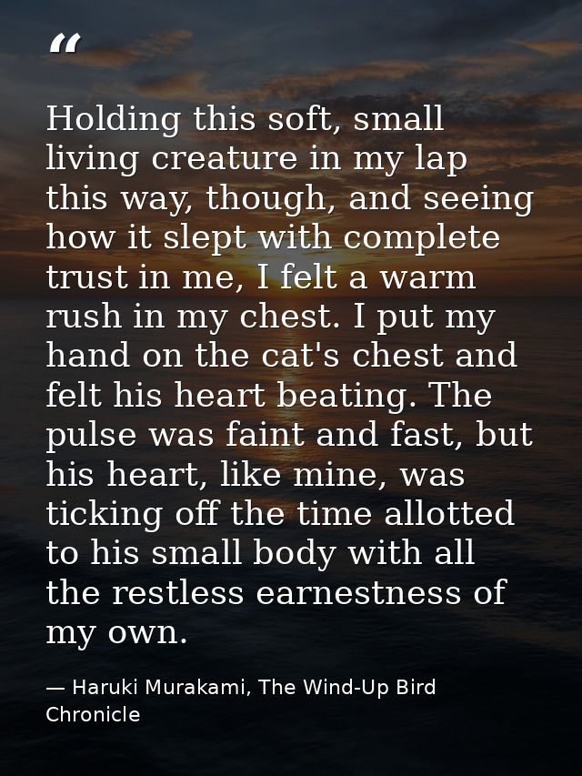 Holding this soft, small living creature in my lap this way, though, and seeing how it slept with complete trust in me,  — Haruki Murakami, The Wind-Up Bird Chronicle