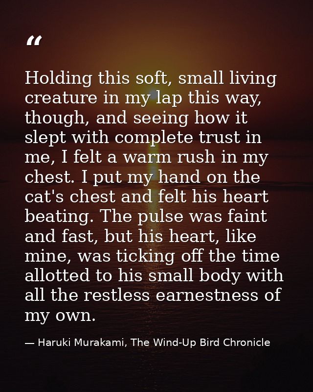 Holding this soft, small living creature in my lap this way, though, and seeing how it slept with complete trust in me,  — Haruki Murakami, The Wind-Up Bird Chronicle