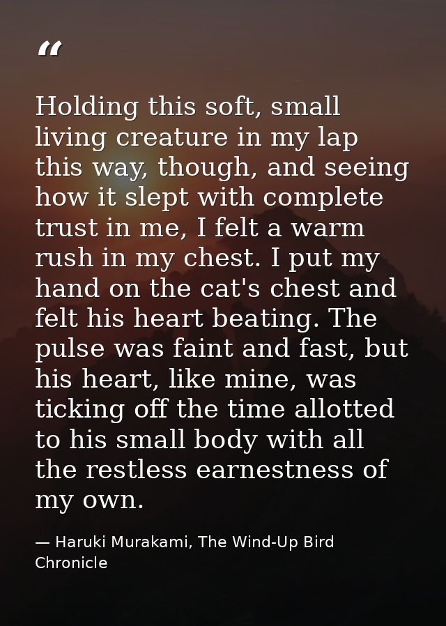 Holding this soft, small living creature in my lap this way, though, and seeing how it slept with complete trust in me,  — Haruki Murakami, The Wind-Up Bird Chronicle