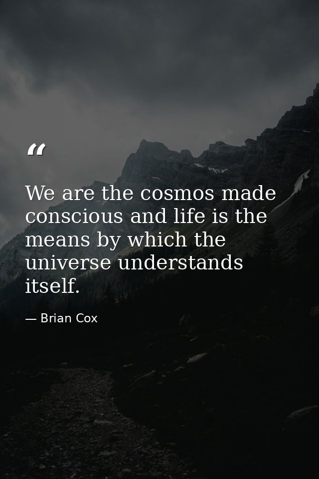 We are the cosmos made conscious and life is the means by which the universe understands itself. — Brian Cox