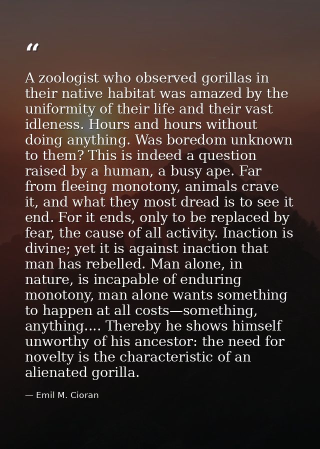 A zoologist who observed gorillas in their native habitat was amazed by the uniformity of their life and their vast idle — Emil M. Cioran