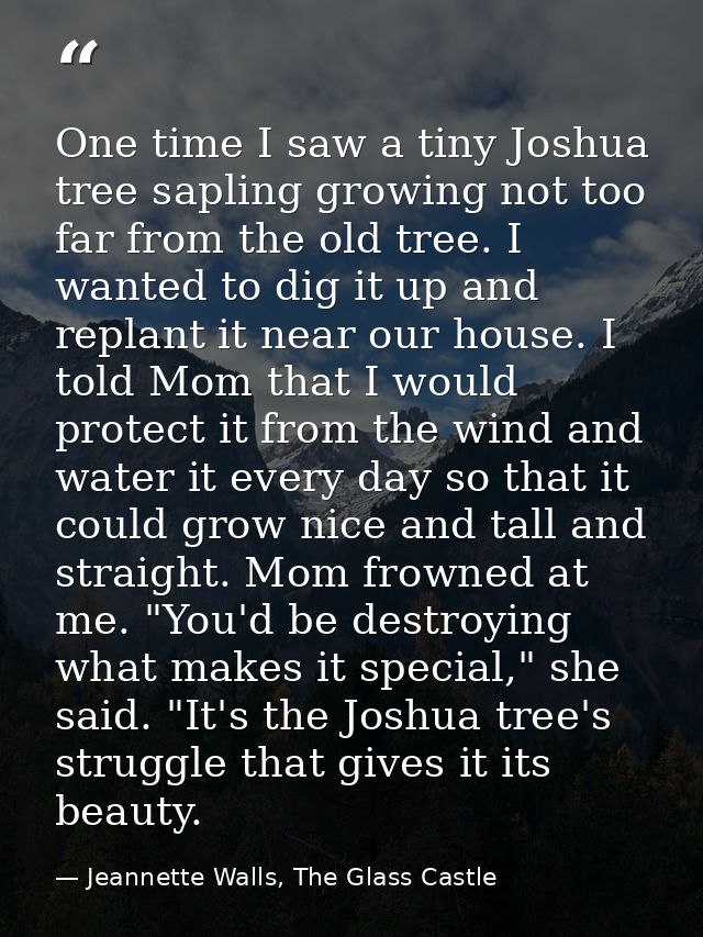 One time I saw a tiny Joshua tree sapling growing not too far from the old tree. I wanted to dig it up and replant it ne — Jeannette Walls, The Glass Castle