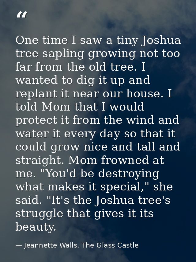 One time I saw a tiny Joshua tree sapling growing not too far from the old tree. I wanted to dig it up and replant it ne — Jeannette Walls, The Glass Castle