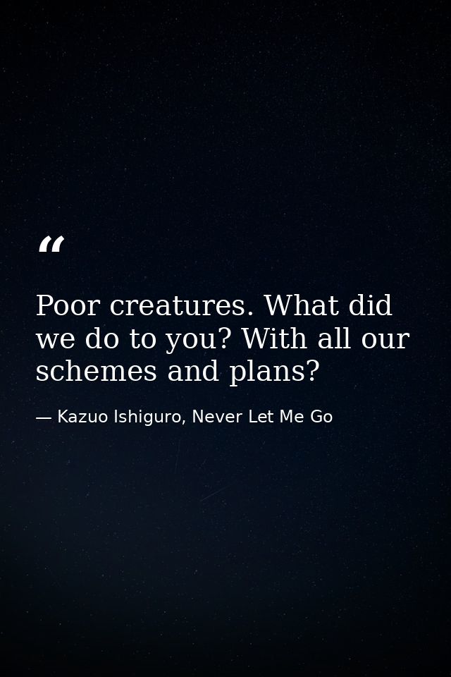 Poor creatures. What did we do to you? With all our schemes and plans? — Kazuo Ishiguro, Never Let Me Go