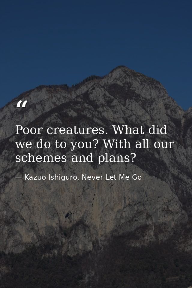 Poor creatures. What did we do to you? With all our schemes and plans? — Kazuo Ishiguro, Never Let Me Go