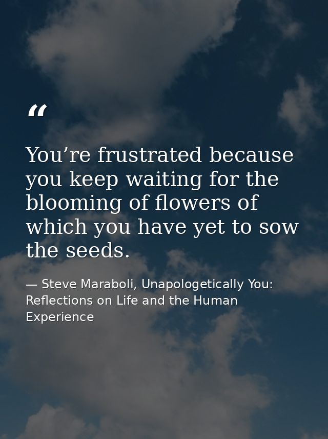 You’re frustrated because you keep waiting for the blooming of flowers of which you have yet to sow the seeds. — Steve Maraboli, Unapologetically You: Reflections on Life and the Human Experience