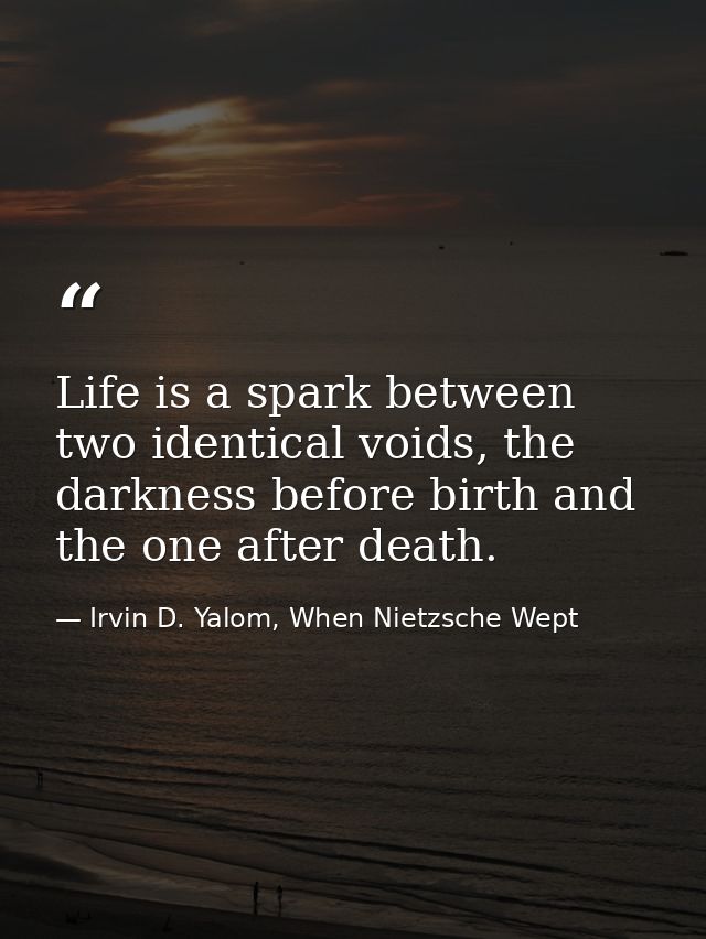 Life is a spark between two identical voids, the darkness before birth and the one after death. — Irvin D. Yalom, When Nietzsche Wept