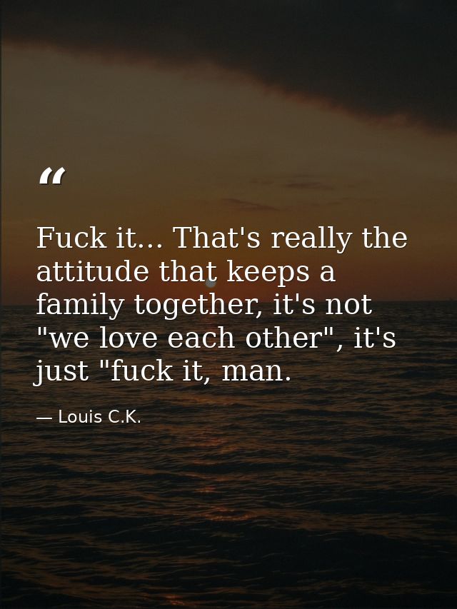 Fuck it... That's really the attitude that keeps a family together, it's not "we love each other", it's just "fuck it, m — Louis C.K.