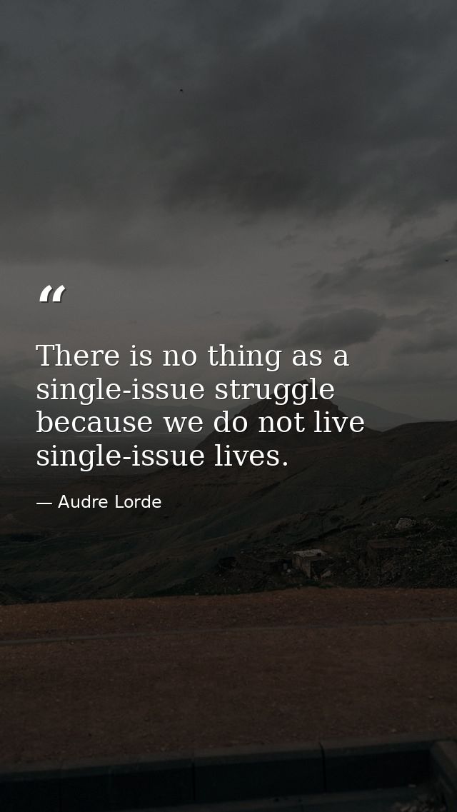 There is no thing as a single-issue struggle because we do not live single-issue lives. — Audre Lorde