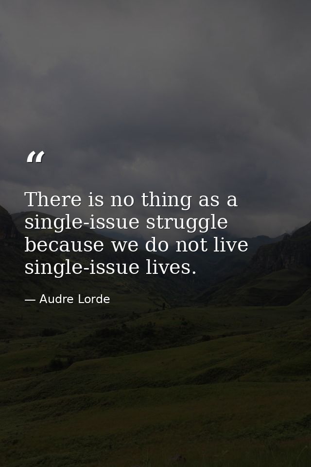 There is no thing as a single-issue struggle because we do not live single-issue lives. — Audre Lorde