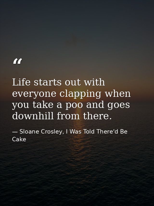 Life starts out with everyone clapping when you take a poo and goes downhill from there. — Sloane Crosley, I Was Told There'd Be Cake