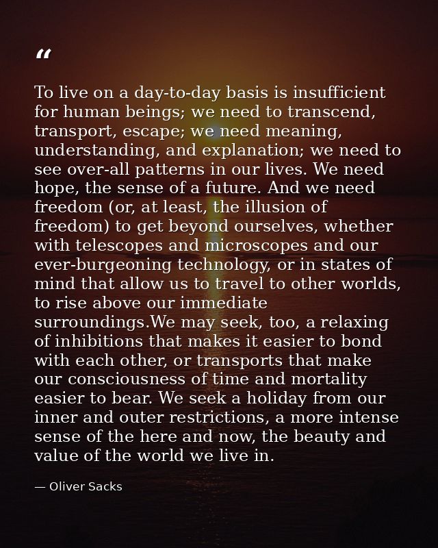 To live on a day-to-day basis is insufficient for human beings; we need to transcend, transport, escape; we need meaning — Oliver Sacks
