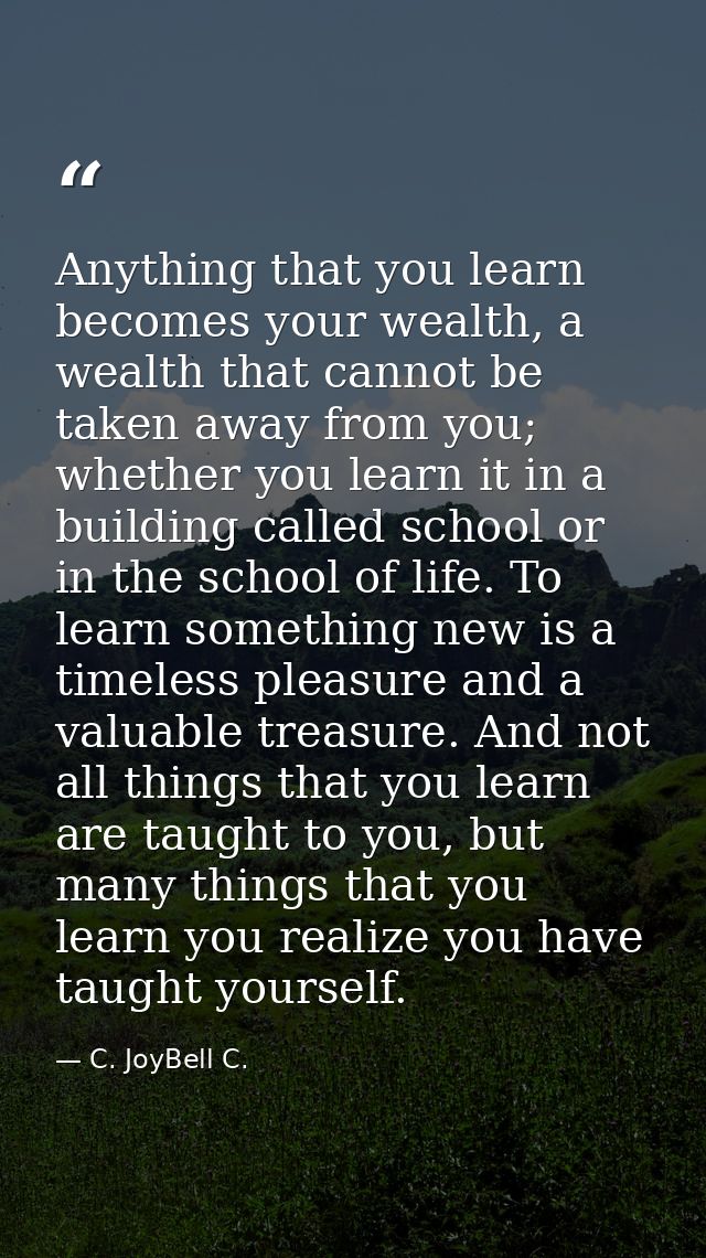 Anything that you learn becomes your wealth, a wealth that cannot be taken away from you; whether you learn it in a buil — C. JoyBell C.