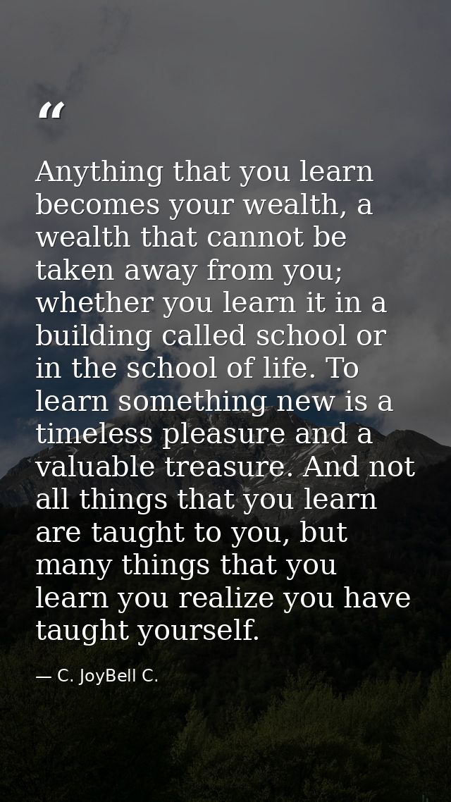 Anything that you learn becomes your wealth, a wealth that cannot be taken away from you; whether you learn it in a buil — C. JoyBell C.
