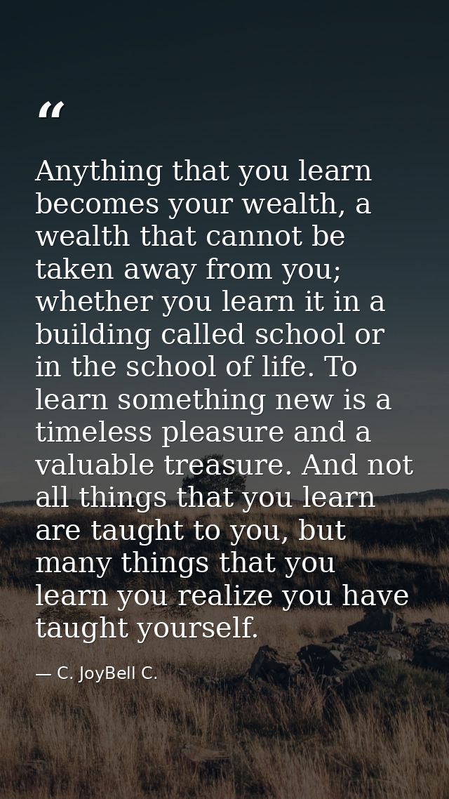 Anything that you learn becomes your wealth, a wealth that cannot be taken away from you; whether you learn it in a buil — C. JoyBell C.