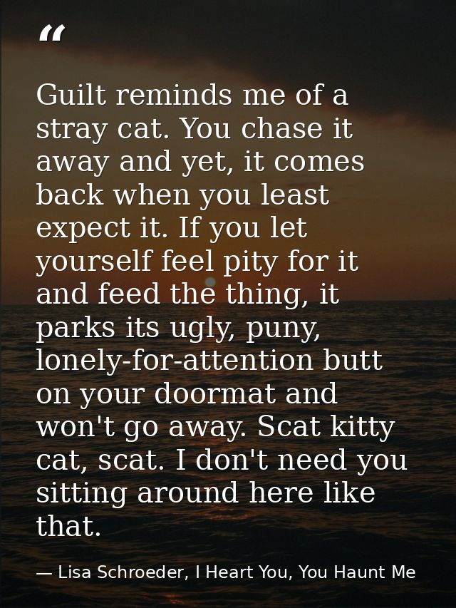 Guilt reminds me of a stray cat. You chase it away and yet, it comes back when you least expect it. If you let yourself  — Lisa Schroeder, I Heart You, You Haunt Me