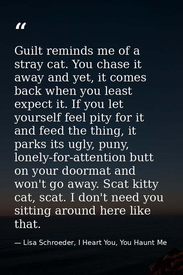 Guilt reminds me of a stray cat. You chase it away and yet, it comes back when you least expect it. If you let yourself  — Lisa Schroeder, I Heart You, You Haunt Me