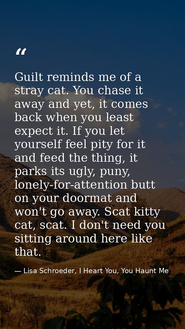 Guilt reminds me of a stray cat. You chase it away and yet, it comes back when you least expect it. If you let yourself  — Lisa Schroeder, I Heart You, You Haunt Me