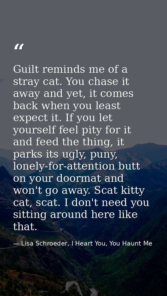 Guilt reminds me of a stray cat. You chase it away and yet, it comes back when you least expect it. If you let yourself  — Lisa Schroeder, I Heart You, You Haunt Me