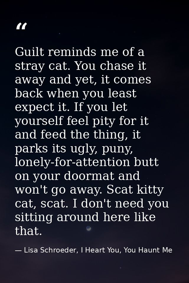 Guilt reminds me of a stray cat. You chase it away and yet, it comes back when you least expect it. If you let yourself  — Lisa Schroeder, I Heart You, You Haunt Me
