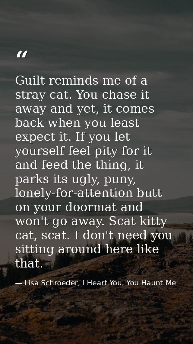 Guilt reminds me of a stray cat. You chase it away and yet, it comes back when you least expect it. If you let yourself  — Lisa Schroeder, I Heart You, You Haunt Me