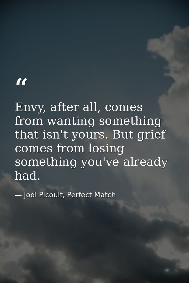 Envy, after all, comes from wanting something that isn't yours. But grief comes from losing something you've already had — Jodi Picoult, Perfect Match